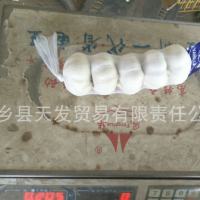 優(yōu)質(zhì)金鄉(xiāng)純白大蒜 質(zhì)優(yōu)價(jià)廉 歡迎詢價(jià)