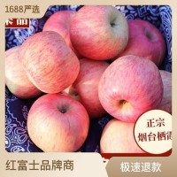 新下霜果滋紅富士蘋果山東煙臺棲霞當(dāng)季脆甜冰糖心脆甜包郵送禮年