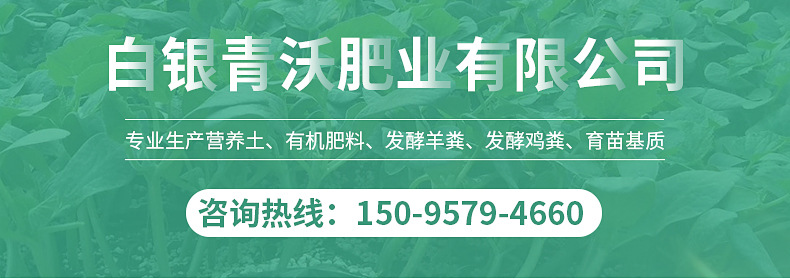內(nèi)頁(yè)2_01.jpg