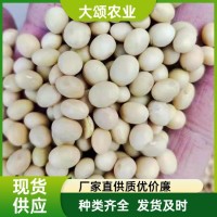 大豆批發(fā) 東北黑龍江 進口俄羅斯澳大利亞 非轉(zhuǎn)基因 做豆腐豆?jié){