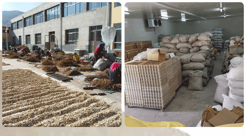 黃氏內(nèi)頁_16