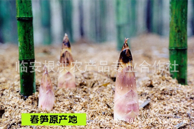 微信圖片_20170511200806