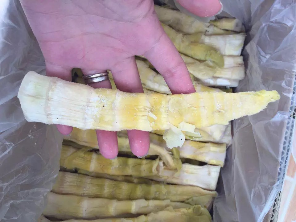 微信圖片_20170511200736