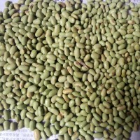 100斤/袋雙青豆、綠黑豆、綠皮綠仁黑豆.芽菜豆、豆芽豆、腰形豆