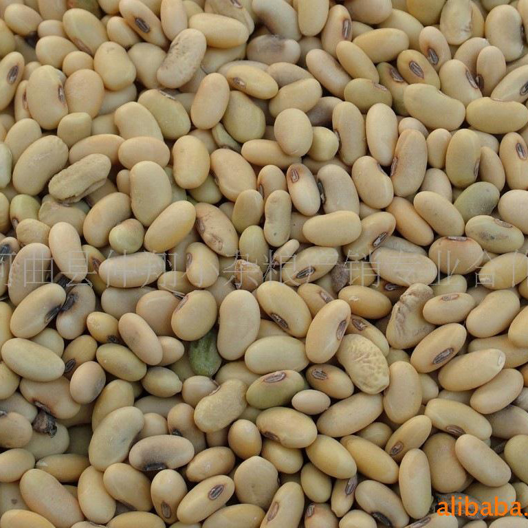 104901645_1364846310