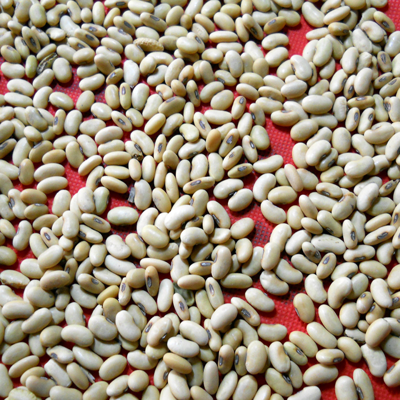 2798951373_1364846310