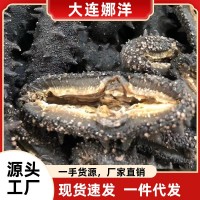 國(guó)標(biāo)大連淡干干貨海參50g批發(fā)食用廠家一手野生遼參禮盒 裝包郵