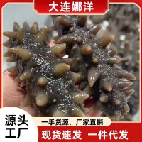 高壓即食海參批發(fā)海參粥高營(yíng)養(yǎng)遼參工廠直營(yíng)參刺粗壯鮮貨供應(yīng)500g