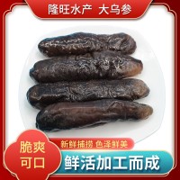 海參 源頭工廠專供酒店會所批發(fā)即食廠家批發(fā)一手貨源好品質(zhì) 海參