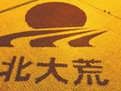 北大荒精神 變荒原為大國(guó)糧倉的磅礴偉力