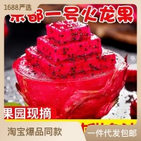 源頭供應金都一號紅心火龍果新鮮水果包郵一件代發(fā)