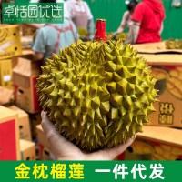 卓恬園 泰國金枕榴蓮 應季新鮮時令香甜軟糯熱帶水果 核小肉多