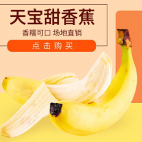 福建漳州天寶精品香蕉農(nóng)家現(xiàn)摘當季無公害新鮮水果香蕉banana