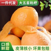 一件代發(fā)四川新鮮枇杷攀枝花米易草場(chǎng)當(dāng)季水果枇杷新鮮五星枇杷