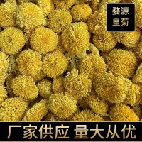 新婺源散裝批發(fā)皇菊菊花菊花茶黃菊桃菊球菊乒乓球菊一朵一批大貨