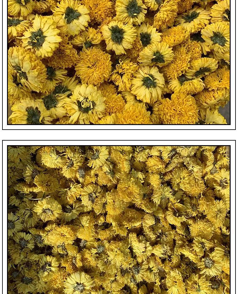 XC5114-食品飲料-花茶-黃色_007