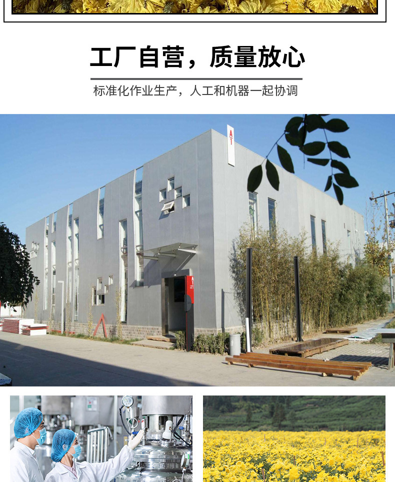 XC5114-食品飲料-花茶-黃色_008