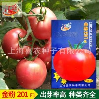 金粉201粉果番茄西紅柿蔬菜種子 大棚陽(yáng)臺(tái)庭院盆栽果蔬種子批發(fā)