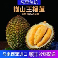 貓山王榴蓮 (D197)馬來西亞進口帶殼榴蓮新鮮肉液氮冷凍順豐批發(fā)