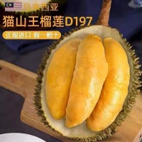 馬來西亞進口帶殼貓山王榴蓮 (D197)榴蓮新鮮肉液氮冷凍順豐批發(fā)