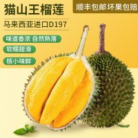 貓山王榴蓮D197液氮冷凍榴蓮批發(fā)馬來西亞進口正宗水果順豐包郵