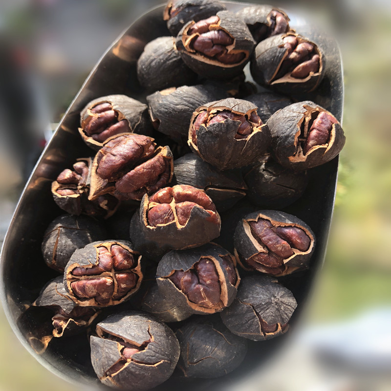 微信圖片_20201110220037修后1