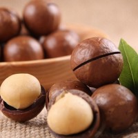 夏威夷果特大批發(fā)奶油味干果堅果零食休閑食品 618g每日堅果禮品