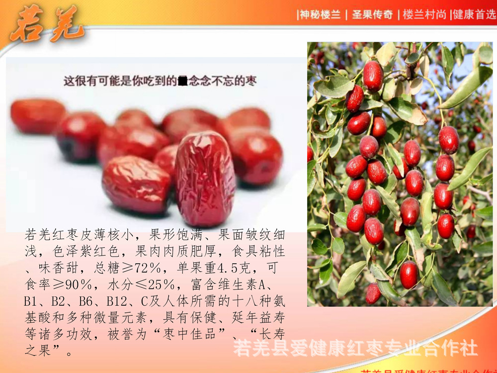若羌紅棗宣傳_16.jpg