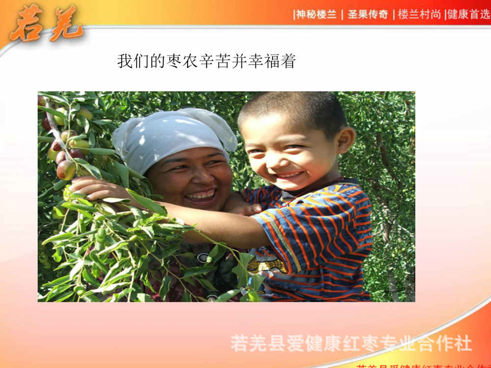 樓蘭村尚紅棗宣傳_15.jpg
