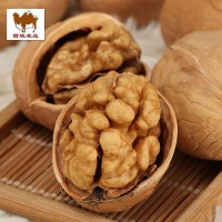 單峰駝新疆特產薄皮核桃20年新貨核桃大核桃仁產地散裝批發(fā)包郵