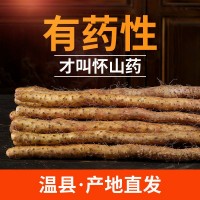 溫縣鐵棍山藥新鮮正宗河南焦作特產懷山藥壚土非淮山藥特批發(fā)產地