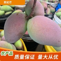 非樹上熟貴妃芒海南貴妃芒果新鮮水果當(dāng)季裝紅金龍?zhí)鹦臒釒Т竺⒐?/></a>
<ul><li><a href=