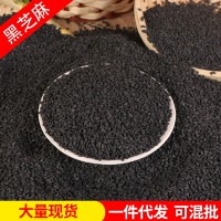 批發(fā)黑芝麻農家自種生黑芝麻現(xiàn)貨袋裝可榨油磨粉黑芝麻五谷雜糧