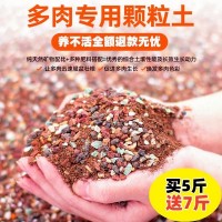 多肉土專用營(yíng)養(yǎng)土顆粒肉肉植物鋪面石種植土透氣防爛根老樁控養(yǎng)