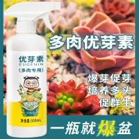 多肉專用促群生植物營養(yǎng)液多肉植物水培綠植花盆盆栽鮮花用肥料土