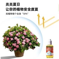 植物通用型活力素養(yǎng)花專用快速復(fù)活激活液促芽壯根多肉綠植育苗盤