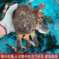 帝王蟹海鮮鮮活10斤大皇帝蟹長(zhǎng)腳蟹3-9斤/只順豐廠家獨(dú)立站批發(fā)