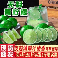 無籽青檸檬新鮮薄皮青檸一級無子香水檸檬小青檸奶茶維生素檸檬