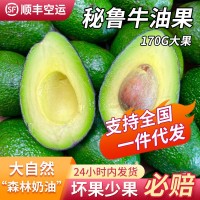 進(jìn)口秘魯牛油果進(jìn)口水果巨無(wú)霸牛油果奶油熱帶新鮮水果一件代發(fā)