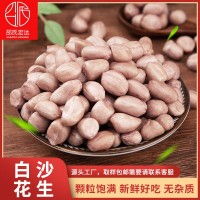 東北白沙花生米新鮮生花生廠家直銷(xiāo)分級(jí)各種規(guī)格冷庫(kù)保存