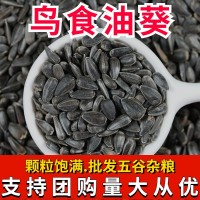 新黑瓜子油葵籽批發(fā)黑珍珠小瓜子葵花籽鳥食倉鼠糧食鳥糧鴿糧