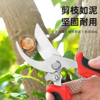 果樹(shù)修枝剪樹(shù)枝園藝剪刀專用花藝花卉枝剪子剪枝園林工具花剪修剪