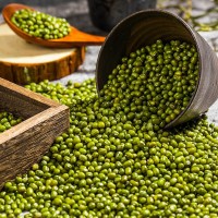 張家口鸚哥綠豆真空包裝350g綠豆原豆廠家直批綠豆原料 雜糧批發(fā)