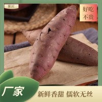 高質(zhì)量天然炭烤缸薯 沙地番薯口感新鮮 薯匠 長期供應(yīng)
