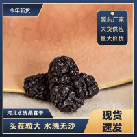 河北桑葚干整箱批發(fā)干桑葚水洗無沙散裝箱裝大貨供應(yīng)量大價優(yōu)