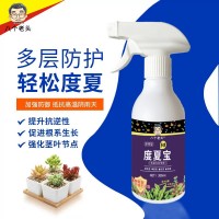 廠家供應(yīng)八個老頭多肉度夏寶植物抗逆護(hù)理液多肉專用營養(yǎng)液抗高溫