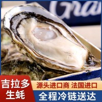 吉拉多法國(guó)進(jìn)口生蠔產(chǎn)地批發(fā)海鮮鮮活生蠔大量批發(fā)水產(chǎn)大生蠔即食