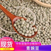 現(xiàn)貨供應青豌豆食材原料帶皮豌豆干豌豆 五谷雜糧帶皮生豌豆青豆