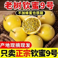海南黃金百香果 欽蜜九號 蜂蜜百香果，純甜可空口吃