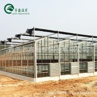 湖北玻璃溫室大棚廠家花卉陽(yáng)光房玻璃溫室觀光大棚建設(shè)設(shè)計(jì)安裝